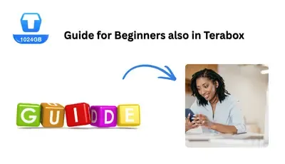 Beginner Guide