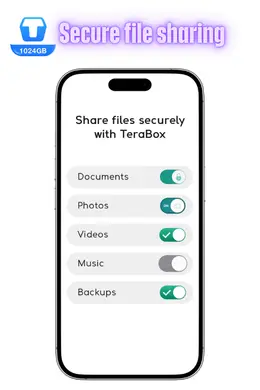 TeraBox iOS Interface 4
